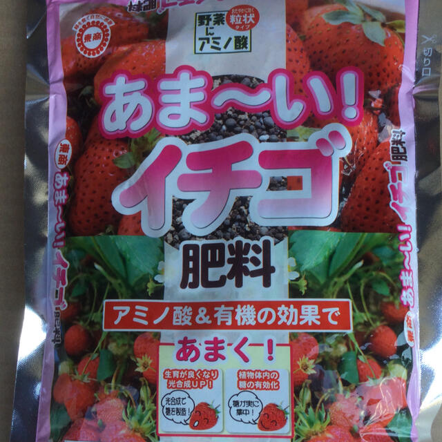 いちご肥料【 未開封 】NET 500g  あま~い❗️イチゴ