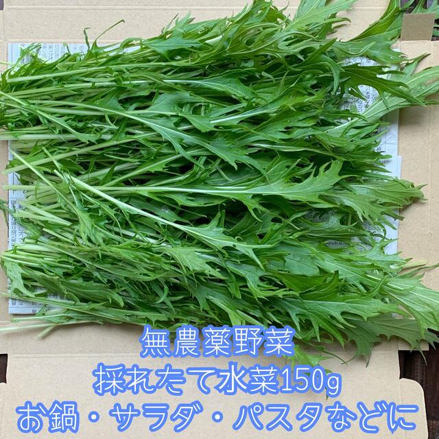 無農薬野菜＊採れたて水菜150g＊ネコポス✳︎お鍋・サラダ・パスタなどに＊ 食品/飲料/酒の食品(野菜)の商品写真