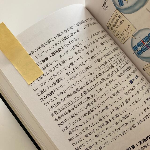 アメリカ版大学生物学の教科書 カラ－図解 第２巻 エンタメ/ホビーの本(文学/小説)の商品写真