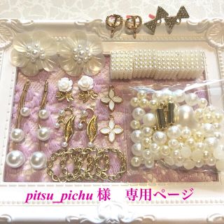 pitsu_pichu様 専用ページ❁(チャーム)