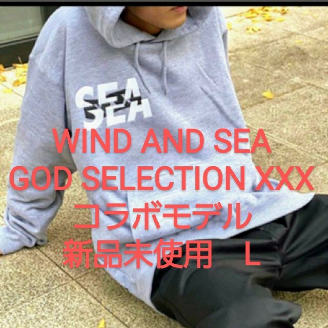 Lサイズ　windandsea godselection xxx コラボモデル メンズのトップス(パーカー)の商品写真