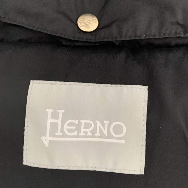 HERNO(ヘルノ)のまーちゃん様　ヘルノ　ファー付きロングダウン レディースのジャケット/アウター(ダウンジャケット)の商品写真