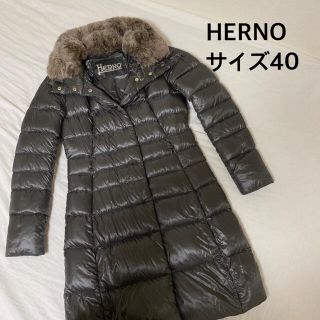 ヘルノ(HERNO)のヘルノ　ダウンジャケット　40 HERNO (ダウンジャケット)