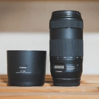 キヤノン(Canon)のCANON EF 70-300mm F4-5.6 IS ⅱ USM(レンズ(ズーム))