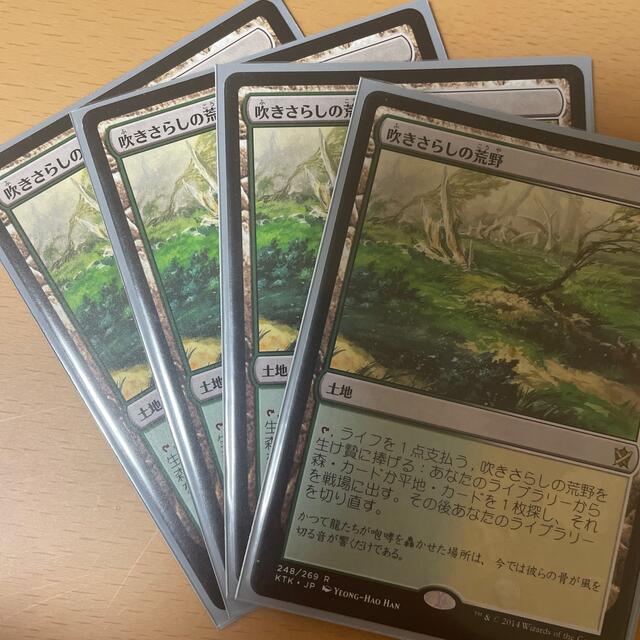 MTG　吹きさらしの荒野　ふきさらしのこうや　４枚