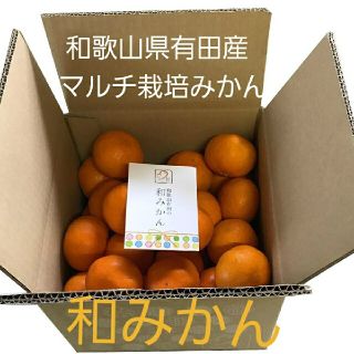 和歌山県有田産　マルチ栽培　和みかん5kg(フルーツ)