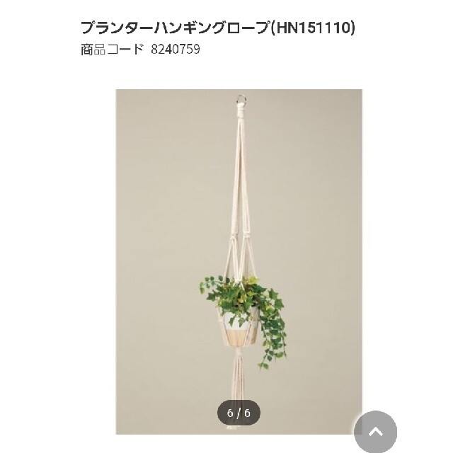 ニトリ ニトリ プランター ハンギングローブ ベージュ 縄の通販 By Tash S Shop ニトリならラクマ