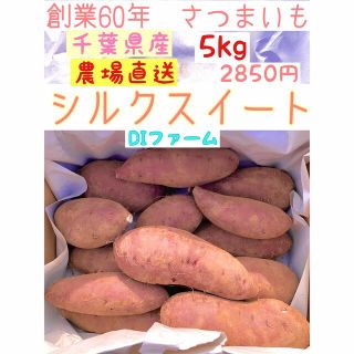 千葉県産　さつまいも　シルクスイート　土つき 5kg(野菜)