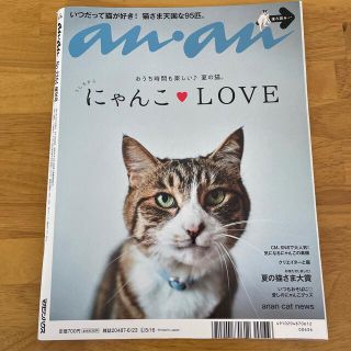 anan増刊 にゃんこLOVE 2021 6/23号(その他)