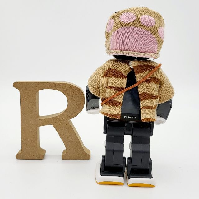 SHARP - ロボホン RoBoHoN ロボホンの服の通販 by bow4.workshop