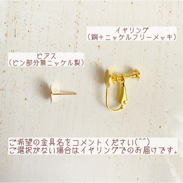 【限定】プチ クリスマス コフレ ラッピングあり レディースのアクセサリー(イヤリング)の商品写真