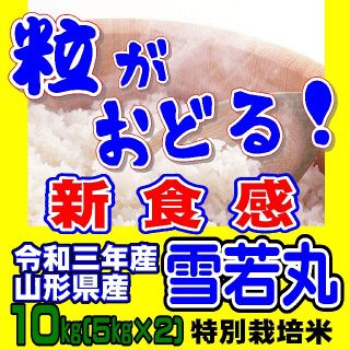 絶対鍋飯　つぶおどる!　山形県産　雪若丸　１０kg　１等米　大粒　特別栽培(米/穀物)