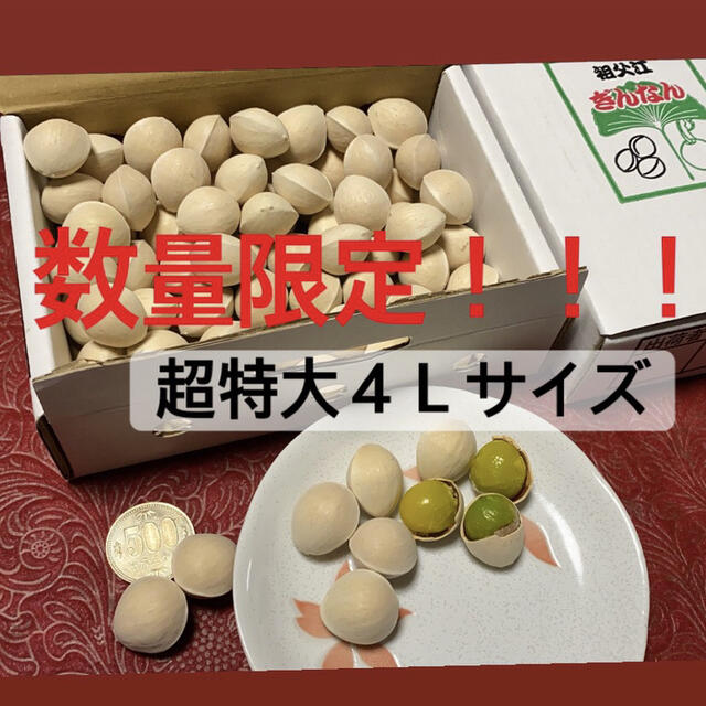 数量限定！先着順！超特大4Lサイズ！ 食品/飲料/酒の食品(野菜)の商品写真