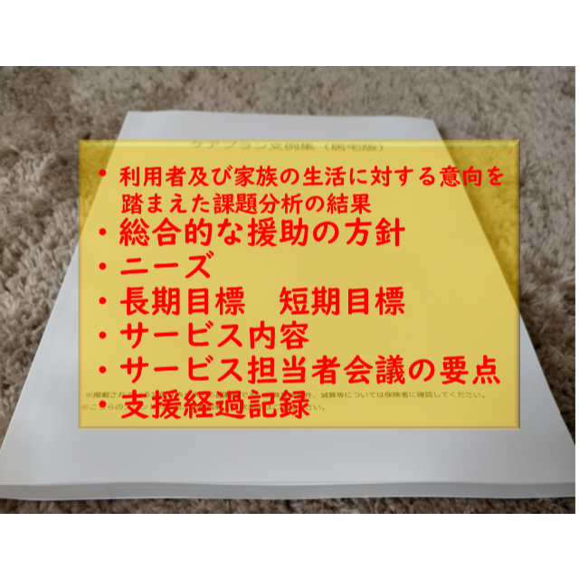 （居宅版）ケアプラン文例・記入例　 ハンドメイドのハンドメイド その他(その他)の商品写真