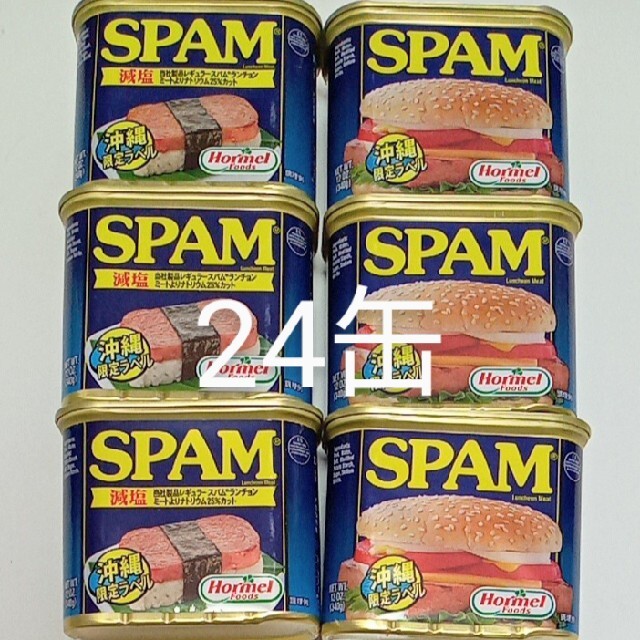 スパム 減塩 26缶（1缶385円）340g 10000円クーポンセットSPAM