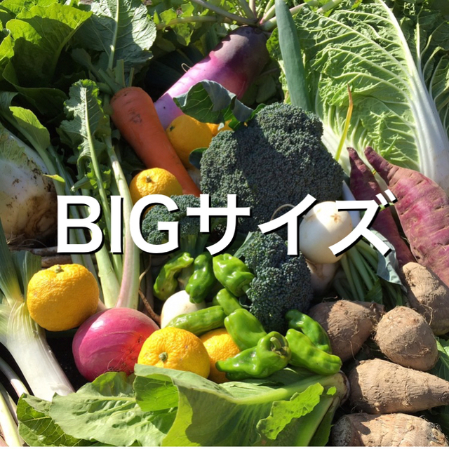 もものすけ入り　野菜BOX  BIGサイズ 食品/飲料/酒の食品(野菜)の商品写真