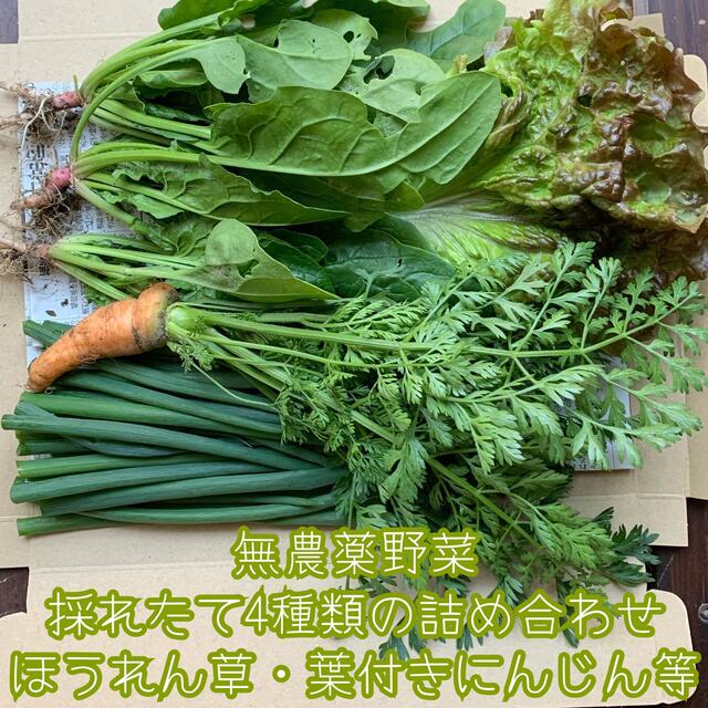 無農薬野菜＊採れたて4種類の詰め合わせ＊野菜セット＊ネコポス＊ほうれん草など＊ 食品/飲料/酒の食品(野菜)の商品写真