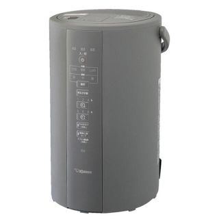 ゾウジルシ(象印)の象印 スチーム式加湿器 EE-DC50  HA グレー(加湿器/除湿機)