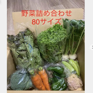 野菜詰め合わせ　80サイズ(野菜)