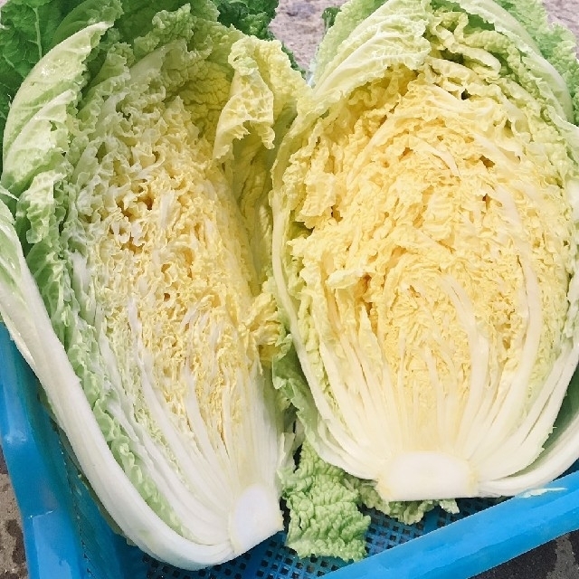 新鮮野菜 10種類の乾燥野菜おまかせMIX 150g×1袋 簡単お手軽超便利 食品/飲料/酒の食品(野菜)の商品写真