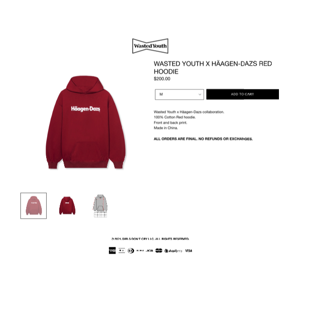 WASTED YOUTH HÄAGEN-DAZS  HOODIE Mサイズ メンズのトップス(パーカー)の商品写真