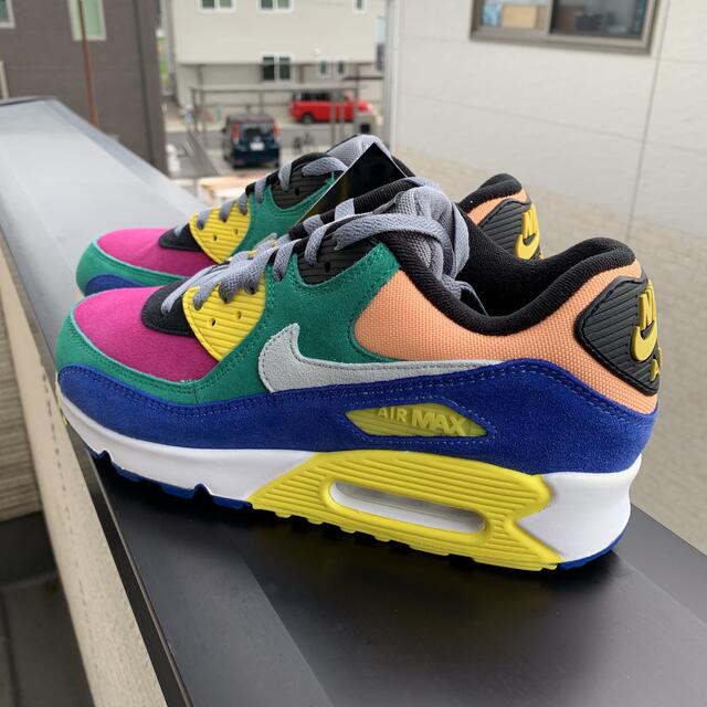 NIKE AIR MAX 90 QS バイオテック