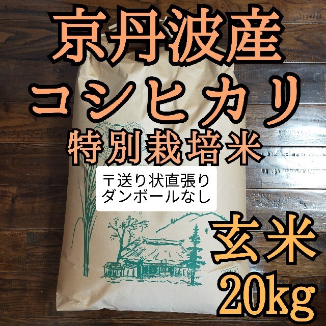 新米コシヒカリ玄米20kg一等米●外箱なし●　令和3年産 京丹波産　玄米20キロ食品/飲料/酒