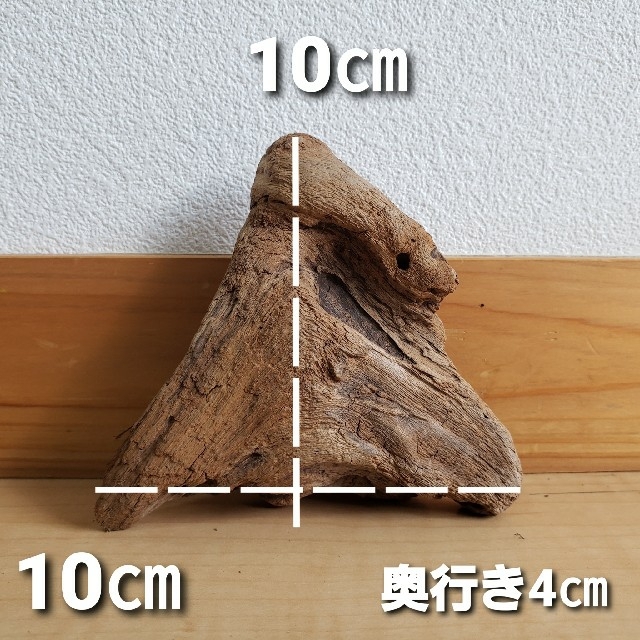 【165】流木　インテリアや爬虫類などに　シェルター　止まり木　アクアリウム その他のペット用品(爬虫類/両生類用品)の商品写真