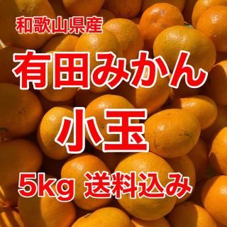 有田みかん🍊小玉🍊家庭用🍊5㎏🍊送料込み(フルーツ)