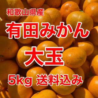 有田みかん🍊大玉🍊5㎏箱に満杯🍊送料込み(フルーツ)