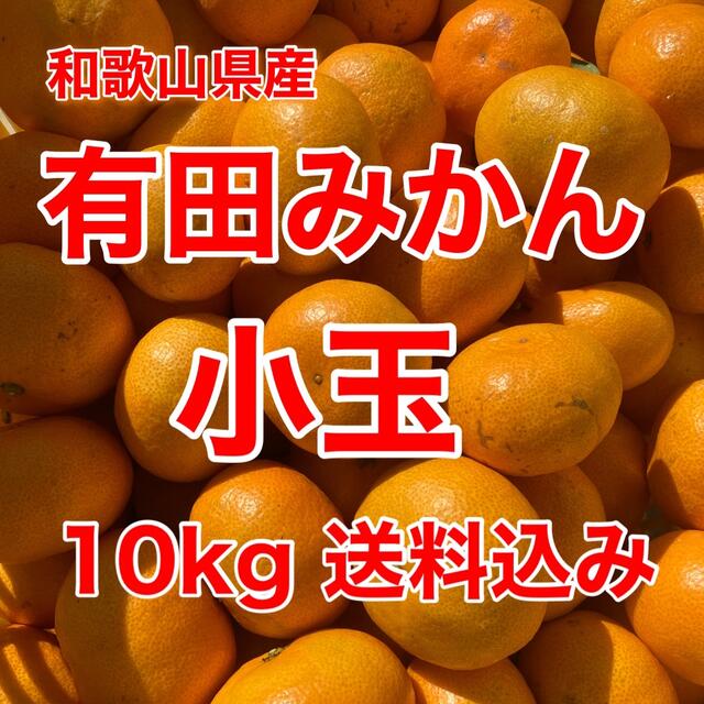 有田みかん🍊小玉🍊10㎏🍊家庭用🍊送料込み 食品/飲料/酒の食品(フルーツ)の商品写真