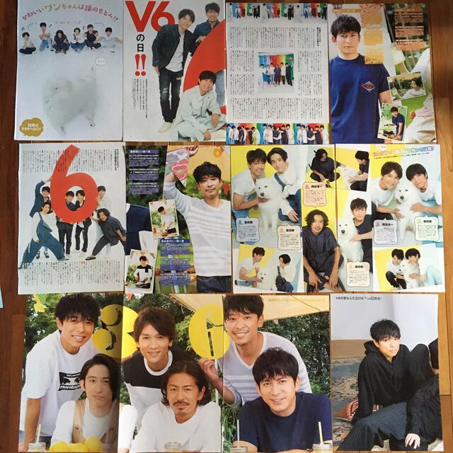 V6(ブイシックス)のV6切り抜き エンタメ/ホビーの雑誌(アート/エンタメ/ホビー)の商品写真