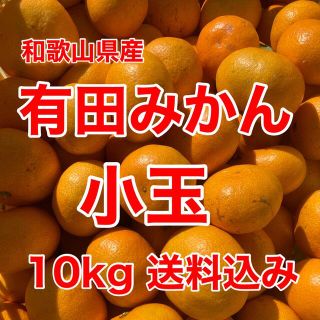 有田みかん🍊小玉🍊10㎏🍊家庭用🍊送料込み(フルーツ)