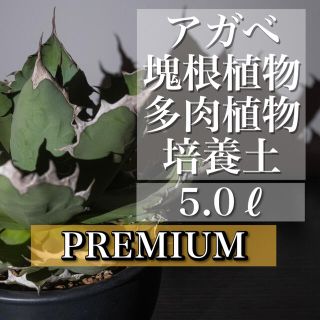 [プレミアム] アガベ 多肉植物培養土 5リットル(その他)