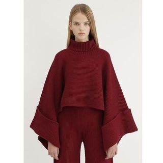 ジルスチュアート(JILLSTUART)の専用  JILLSTUART ロビンフレアスリーブニット ¥20900税込(ニット/セーター)