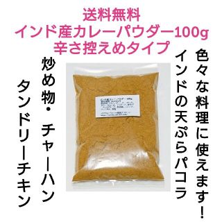 インド産カレーパウダー100g   辛さ控えめタイプ 送料無料(調味料)