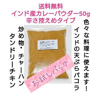 お試しパック インド産カレーパウダー50g 無添加  辛さ控えめタイプ 送料無料(調味料)