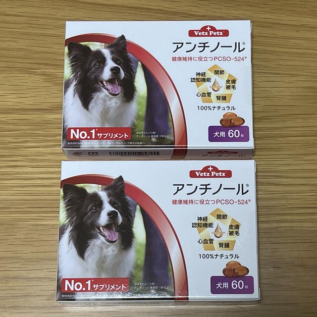 犬用アンチノール 60粒 2箱