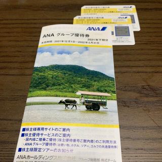 エーエヌエー(ゼンニッポンクウユ)(ANA(全日本空輸))のANA 株主優待券(その他)