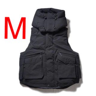 ワンエルディーケーセレクト(1LDK SELECT)のDAIWA PIER39 TECH PADDING FISHING VEST M(ダウンベスト)