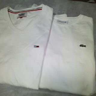 ラコステ(LACOSTE)のTOMMY HILFIGERとLACOSTE  長Tシャツ(シャツ)