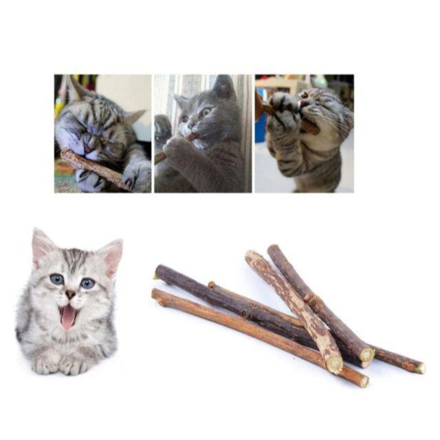 キャットニップ　西洋マタタビ　またたび　１００本　猫　おもちゃ　歯磨き その他のペット用品(猫)の商品写真