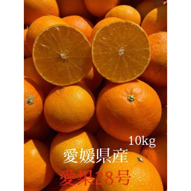 特別栽培の愛果28号(まどんな)10kg箱 優品良品【紅まどんな同品種