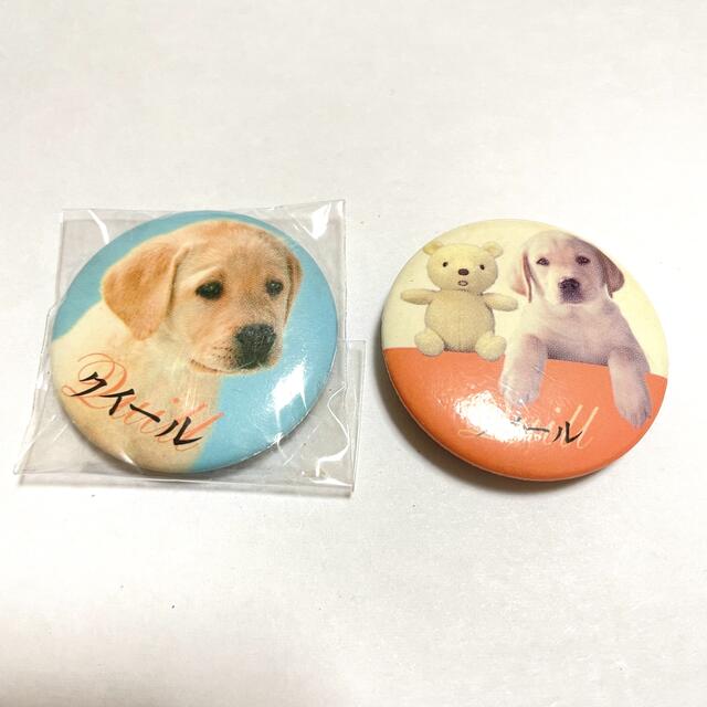 映画 クイール 犬 缶バッジ エンタメ/ホビーのアニメグッズ(バッジ/ピンバッジ)の商品写真