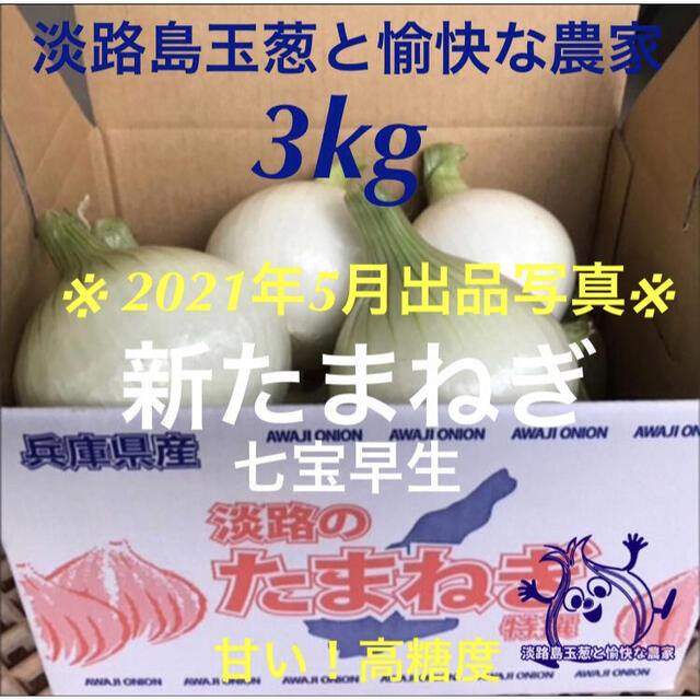 淡路島 玉ねぎ苗 七宝早生 50本 たまねぎ苗 玉葱苗 タマネギ苗の 淡路島 玉ねぎ苗 七宝早生 50本 たまねぎ苗 玉葱苗 タマネギ苗の