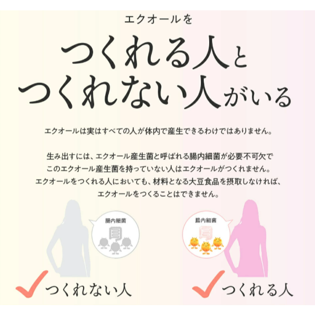 大塚製薬(オオツカセイヤク)の★【新品・未使用】大塚製薬 エクエル パウチ 120粒入り(約30日分)★ コスメ/美容のダイエット(ダイエット食品)の商品写真