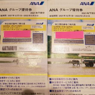 ANA 株主優待 2枚 2021年12月1日〜2022年11月30日(その他)
