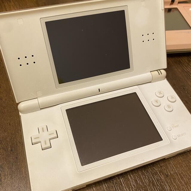 ニンテンドーDS - ☆熟れトマト様専用(ライトのみに変更) Nintendo DS