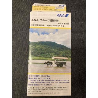 エーエヌエー(ゼンニッポンクウユ)(ANA(全日本空輸))のANA株主優待1枚(その他)