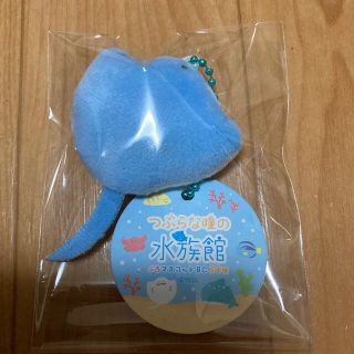 タイトー(TAITO)のつぶらな瞳の水族館ぷちマスコットBC/ボールチェーン付きマスコットキーホルダー(キャラクターグッズ)